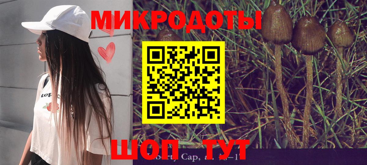 Псилоцибиновые грибы Psilocybe  Астрахань 