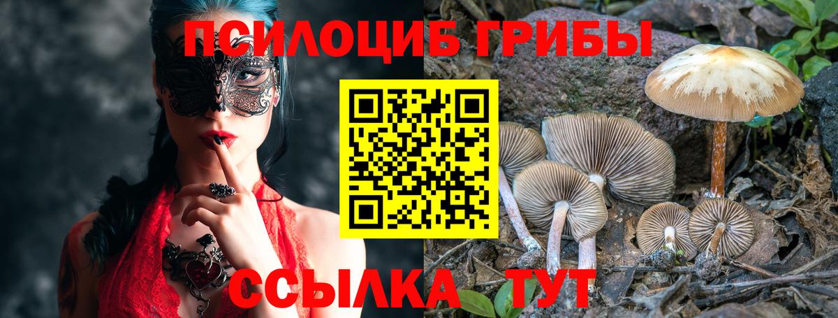 Галлюциногенные грибы GOLDEN TEACHER Астрахань