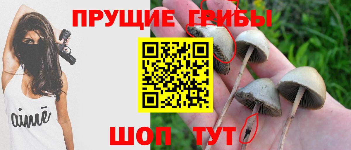 Галлюциногенные грибы мицелий Астрахань