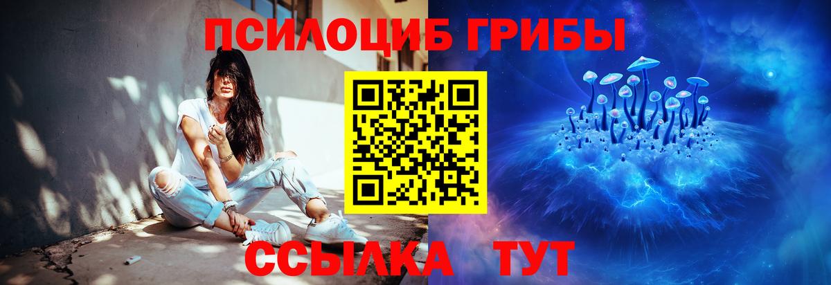 Галлюциногенные грибы MAGIC MUSHROOMS  где продают наркотики  Астрахань  Вход с VPN 